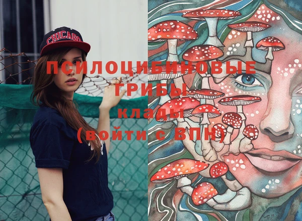 твердый Нефтегорск